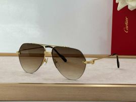 Picture of Cartier Sunglasses _SKUfw55828805fw